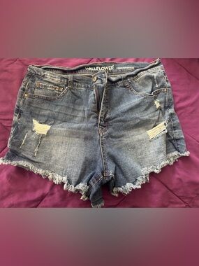 Wallflower Frayed Hem Distressed Denim Shorts